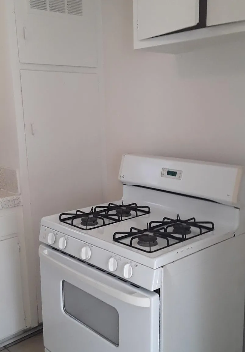 1 bed, $1,000 — Photo 4