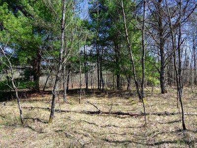 13.34 Ac 22nd Street #1, Necedah, WI, 54646