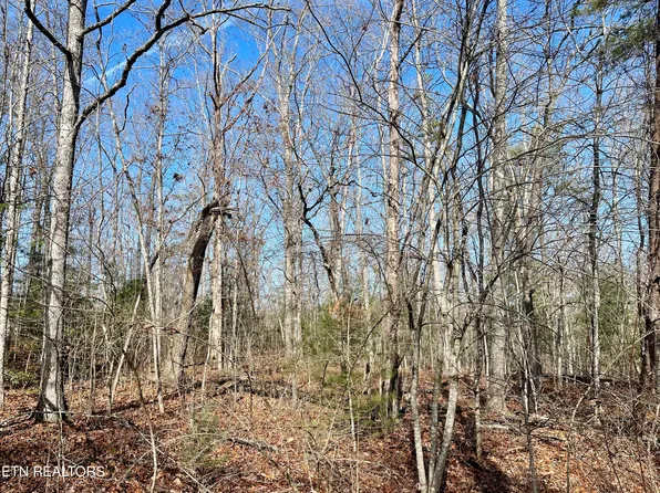 44 Rusham Cir, Crossville, TN 38558