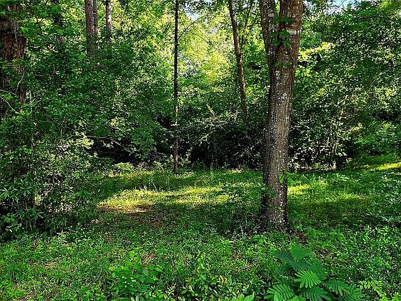 5th image of 504 John Kolb Rd