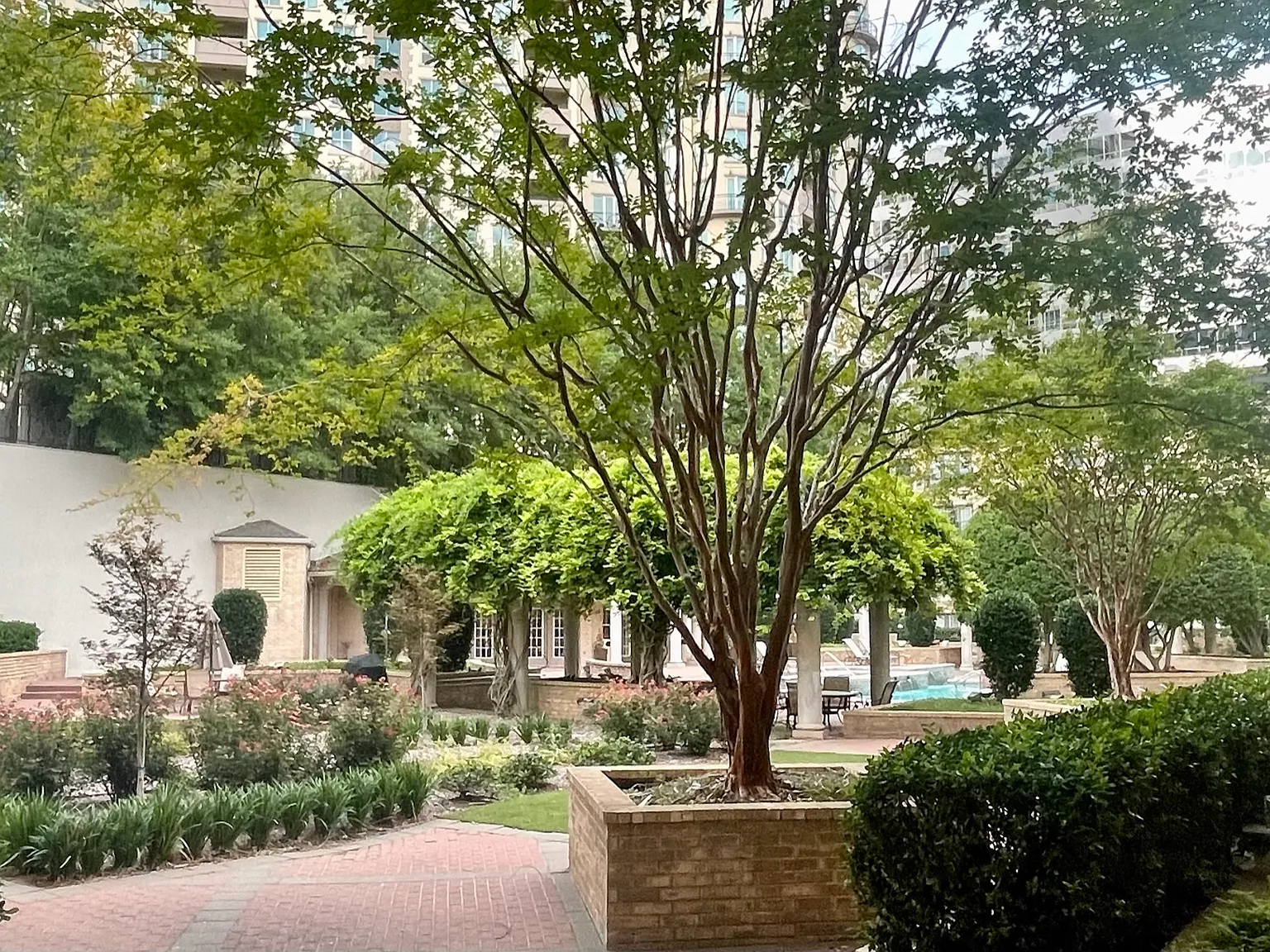 2 bed, 1226 sqft, $3,500 — Photo 3
