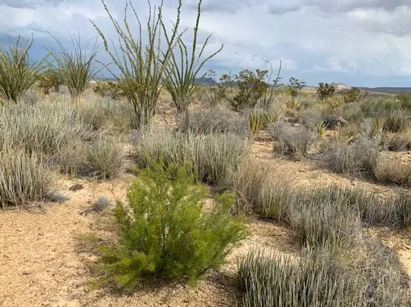 26 Hermans Peak Rd #2675, Terlingua, TX 79852
