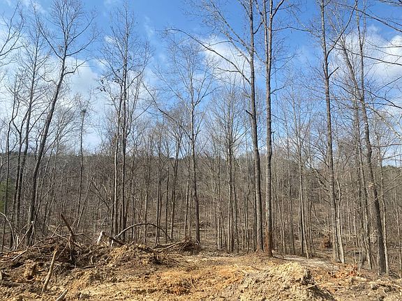 4th image of Hines Road Hines Rd