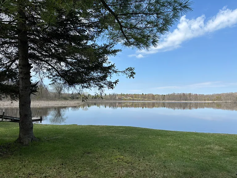 2537 Mitchell Lake Rd — Photo 16