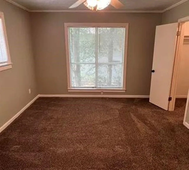 1030 Pine Timbers Dr — Photo 28