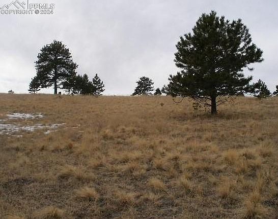 5th image of 271 Moffat Cir