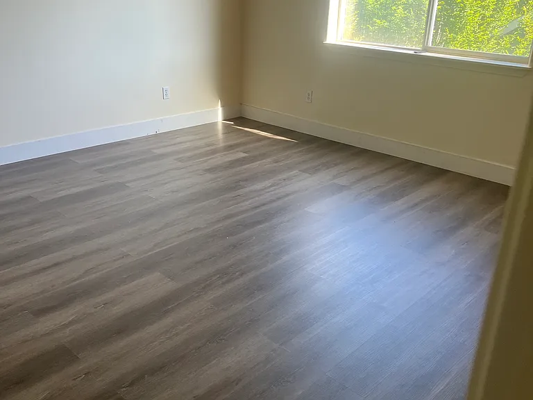 Hardwood/LVP Floors