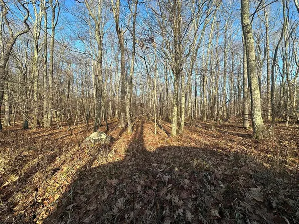 20 E Alpine Dr, Terra Alta, WV 26764