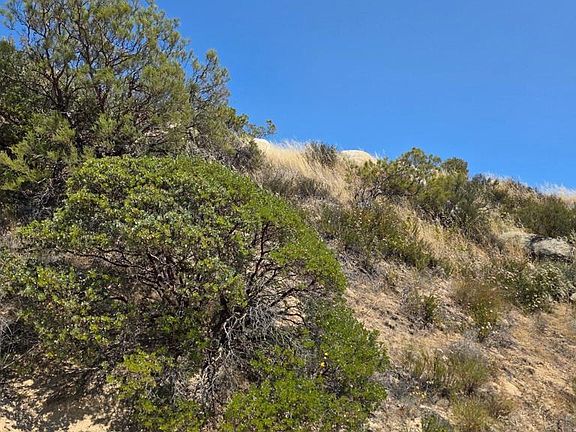 2nd image of 789 Crazy Horse Canyon Dr