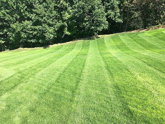 4th image of 5403 Pebble Creek Ct
