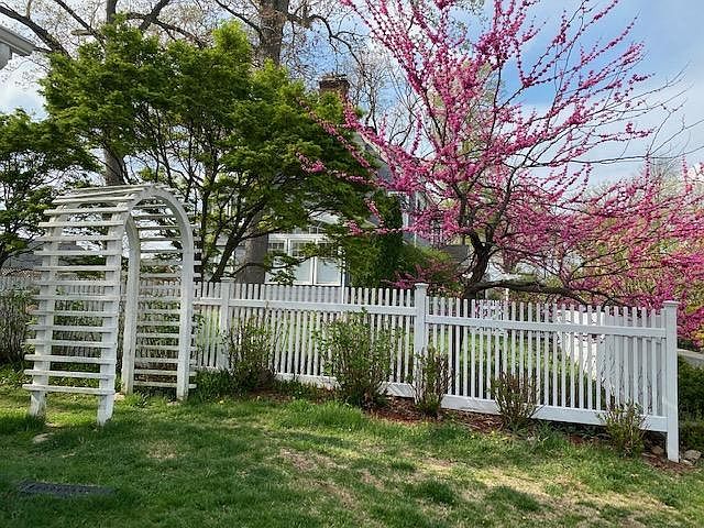 Backyard Trellis