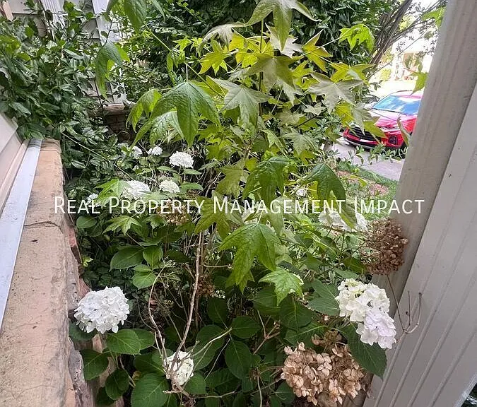 528 Auburn Square Dr — Photo 4