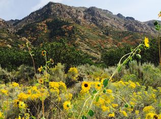 1424 E Golden Eagle Dr, Alpine, UT 84004