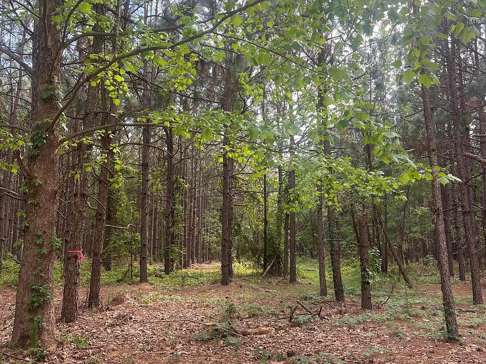 0 Wagener Rd Wagener, SC, 29164 Apartments for Rent Zillow