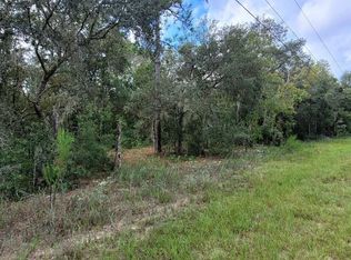 1102 E Wacker St, Hernando, FL 34442