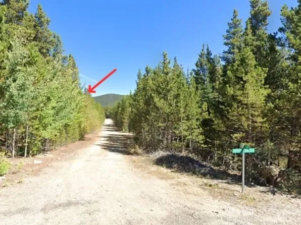339 Eva Rd, Idaho Springs, CO 80452