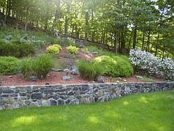 Backyard, stonewalls