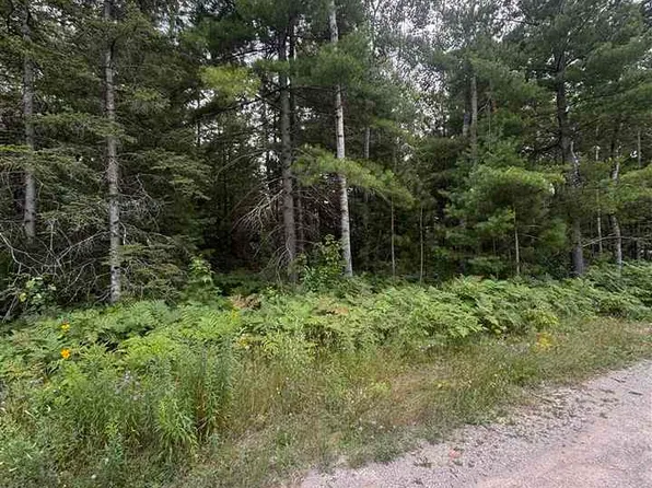 871 Zipf St, Pellston, MI 49769