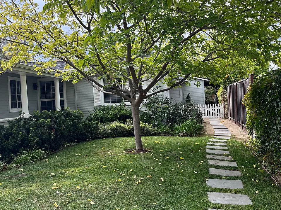 Front Yard - Fence Line