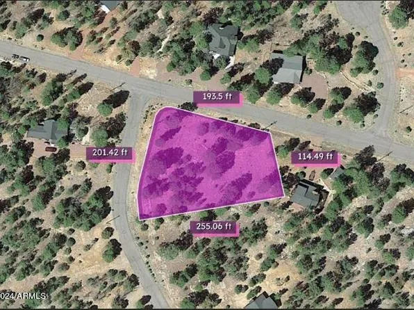 2903 TIMBER RIDGE Circle #87, Happy Jack, AZ 86024