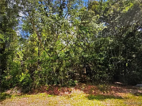 2678 E Celina St, Inverness, FL 34453