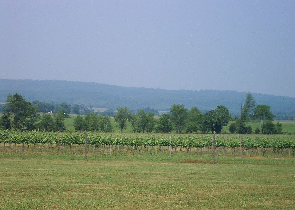 Gorgeous views of Blue Ridge Mtns 