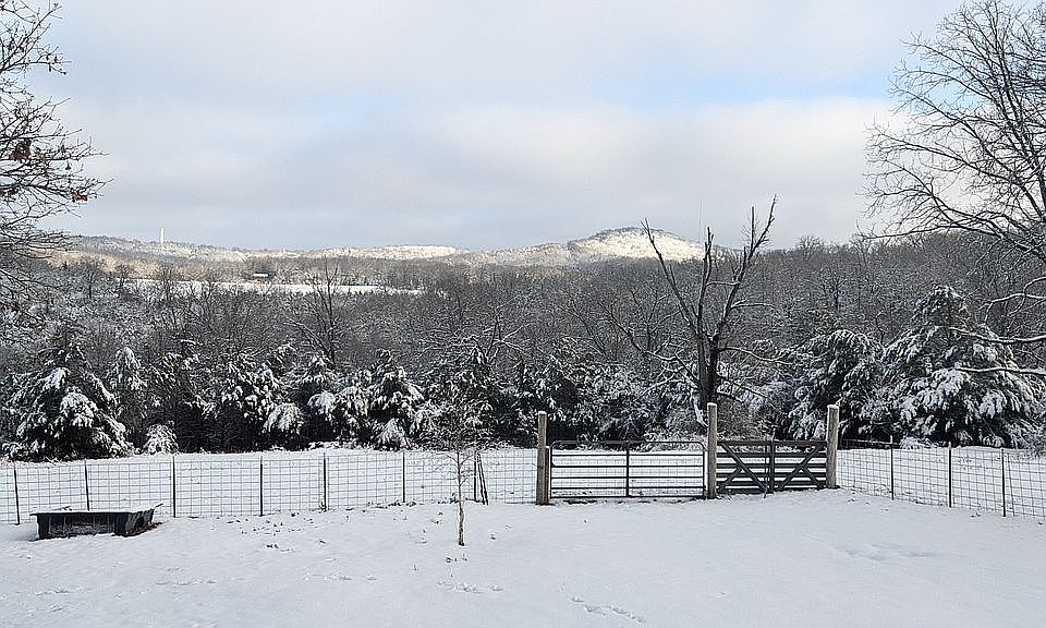 43 acres with 2 bed & bath home