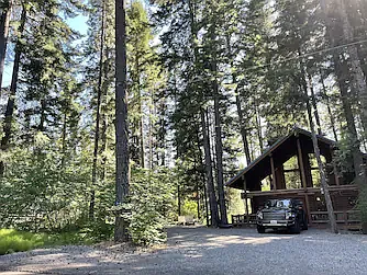 Surrounded by tall trees and an outside fire pit next to house.