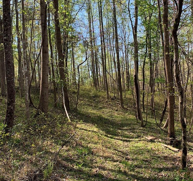 2nd image of Thompson Ridge Rd