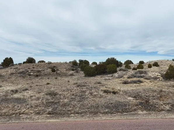 161 W Sunnyslope Dr, Pueblo West, CO 81007
