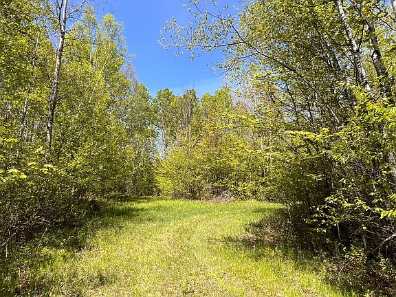 3rd image of Clausen Rd
