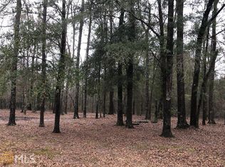 0 Spearhead Rd #20, Dublin, GA 31021