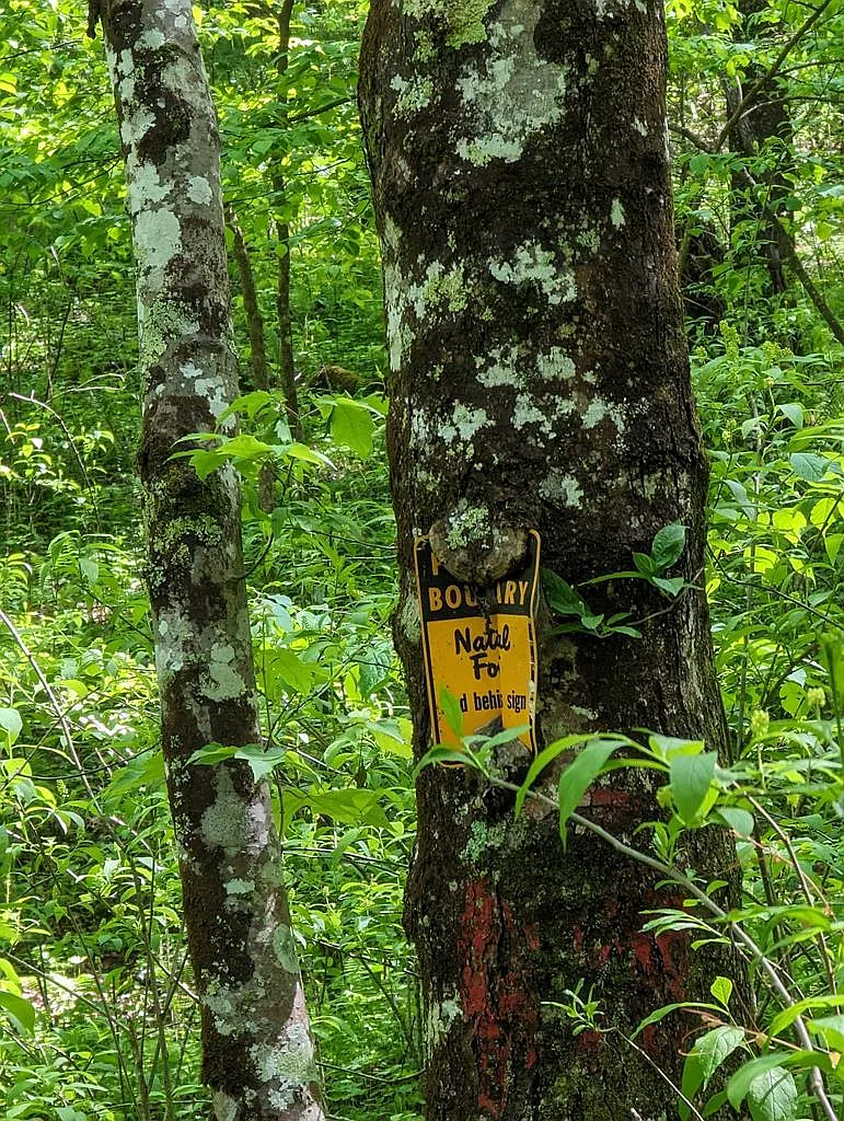 0 Buck Creek Trl photo 1