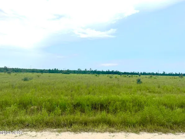 9950 NW Porter Grade Rd, Altha, FL 32421