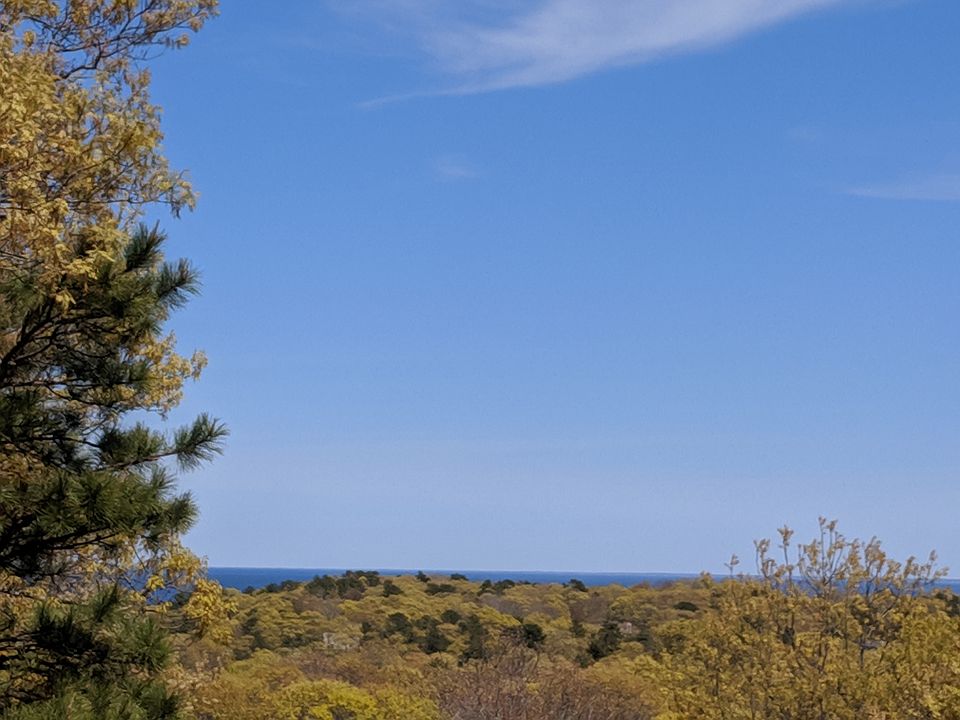 1st image of 105 Treetop Way