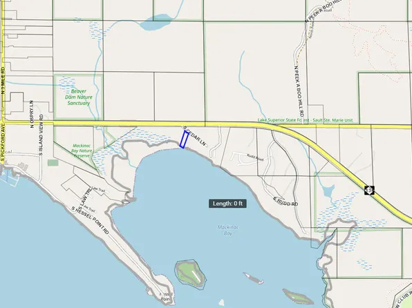 S Cedar Ln, Hessel, MI 49745