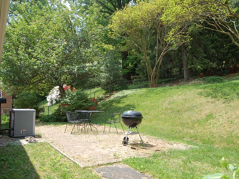 Rear Patio