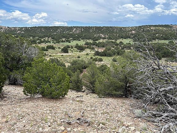 5th image of 51 Colorado Land Grazing