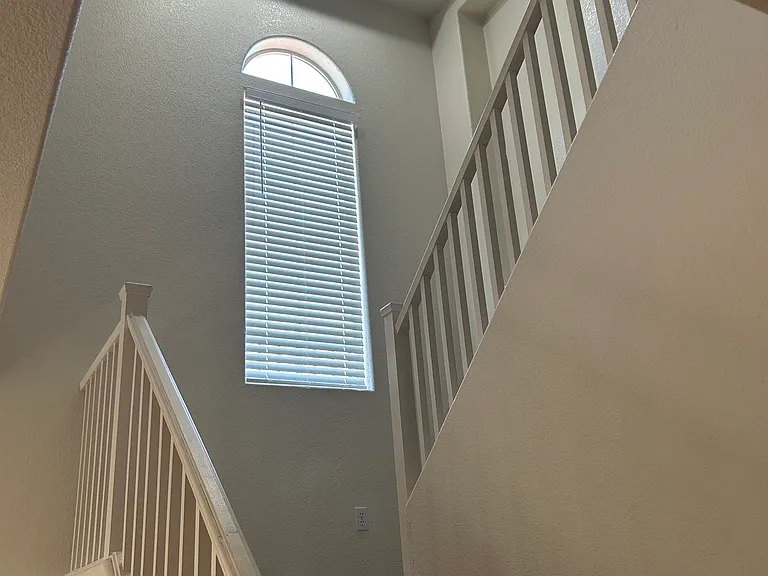 10296 Magnolia Tree Ave — Photo 8