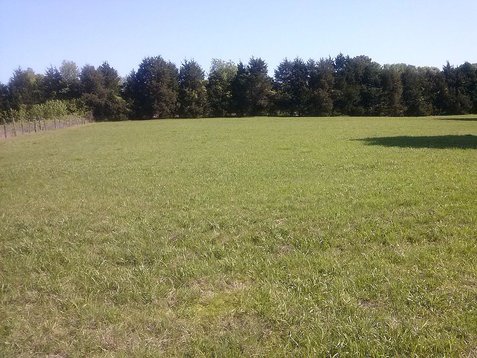 2nd image of 11024 Cain Loop