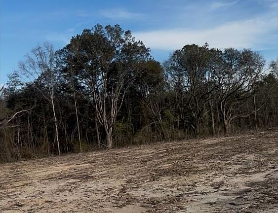 5th image of 0 Kirkland Rd