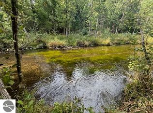 8857 W Moorestown Rd, Manton, MI 49663