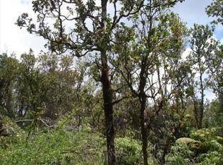 Ohukapu Rd LOT 45, Volcano, HI 96785