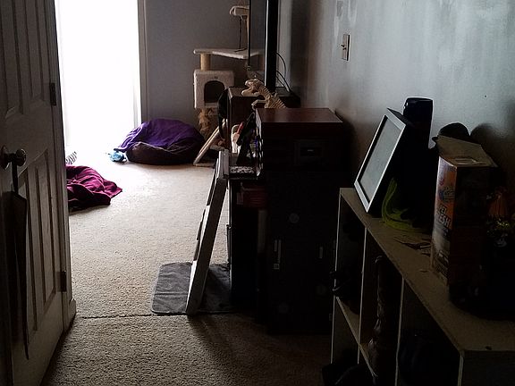 4th image of 312 Glencoe Ln
