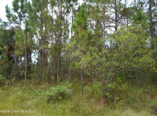 525 Higgs Ave NW, Palm Bay, FL 32907