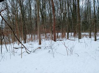 4075 Timpson Ave SE, Lowell, MI 49331