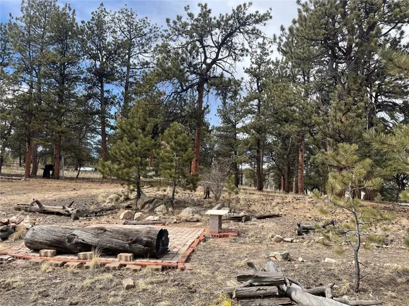 133 Shenandoah Path, Hartsel, CO 80449