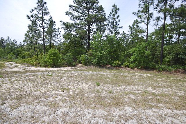 1st image of 288 Midland Pines Dr