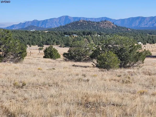 16th Trl, Cotopaxi, CO 81223