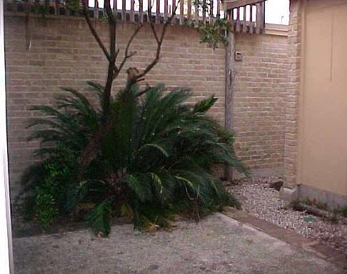 3rd image of 8926 WILLMON WAY #NA